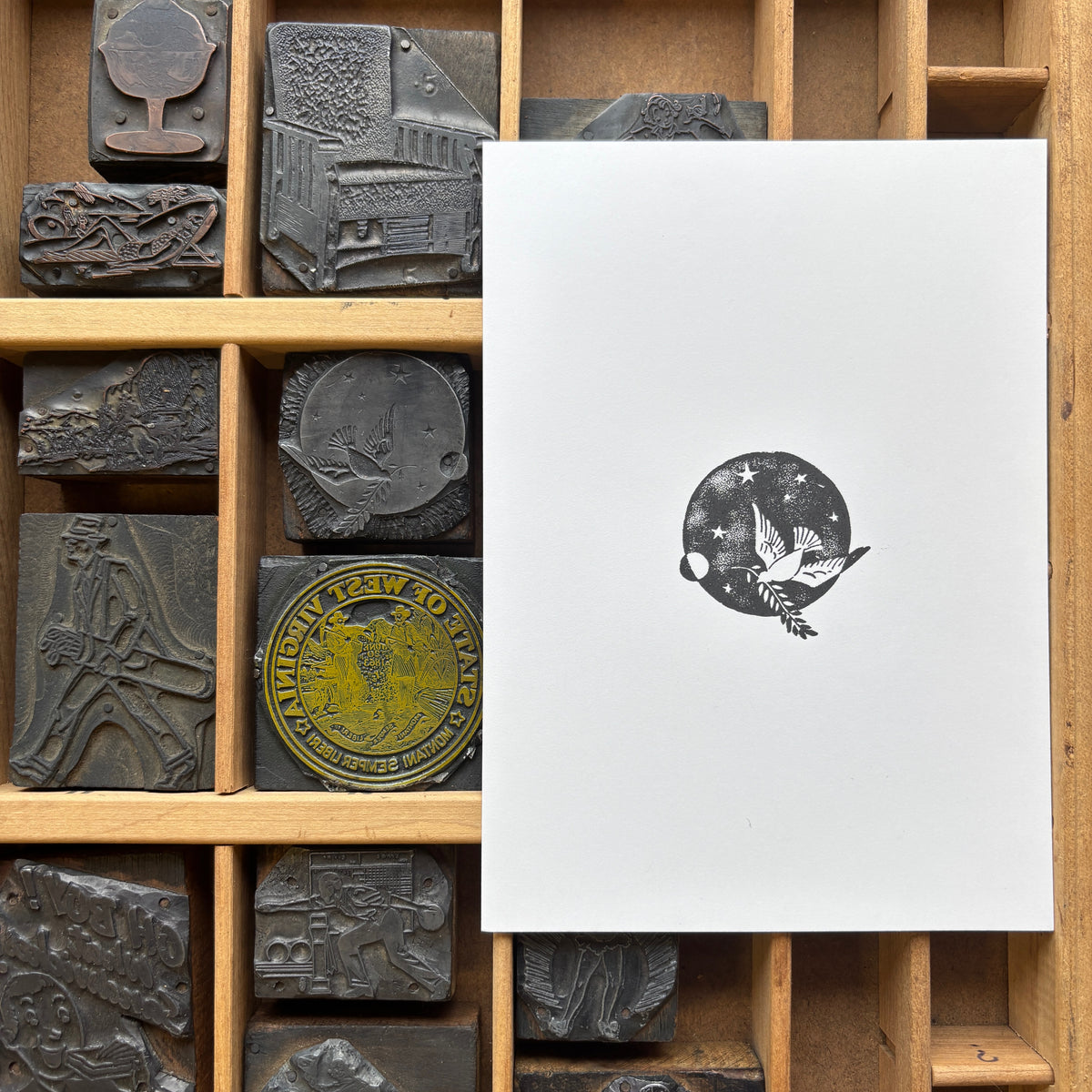 Dove - Vintage Letterpress Block 5x7 Print