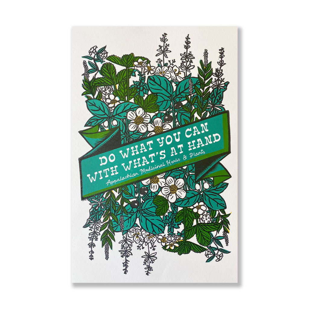 Appalachian Medicinal Herbs &amp; Plants 11x17 Print