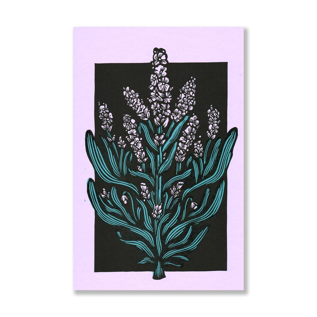 lavender flower print Lavender Floral Sprig 11x17 Print