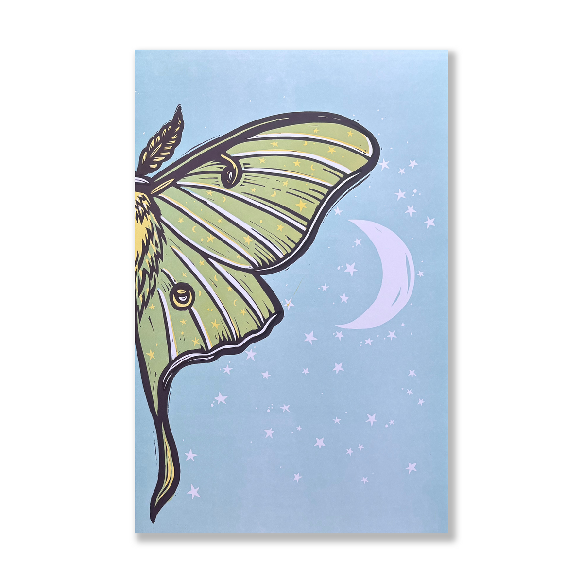 Luna Moth Double Poster