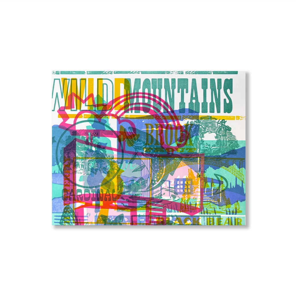 Test Print #411 - 8" x 10"