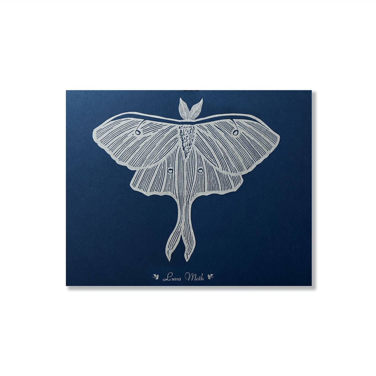 Luna Moth Print